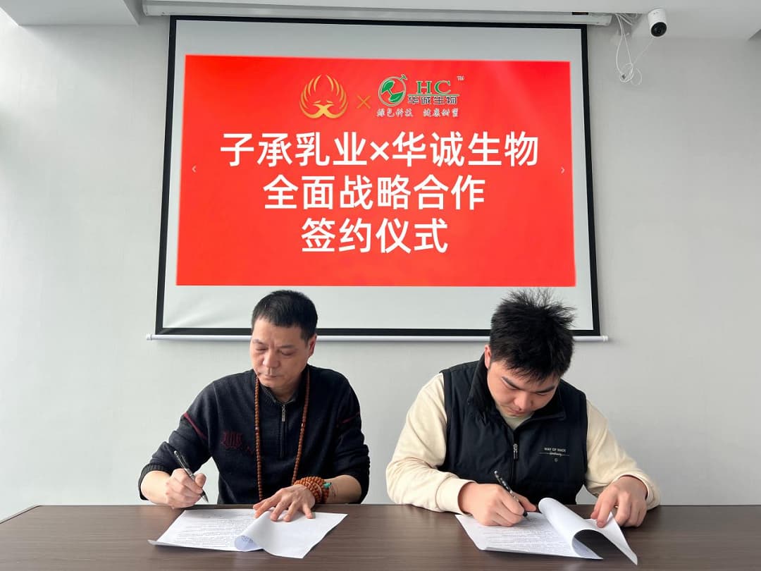 Zichengruye and Huacheng Biotech have reached a strategic cooperation!